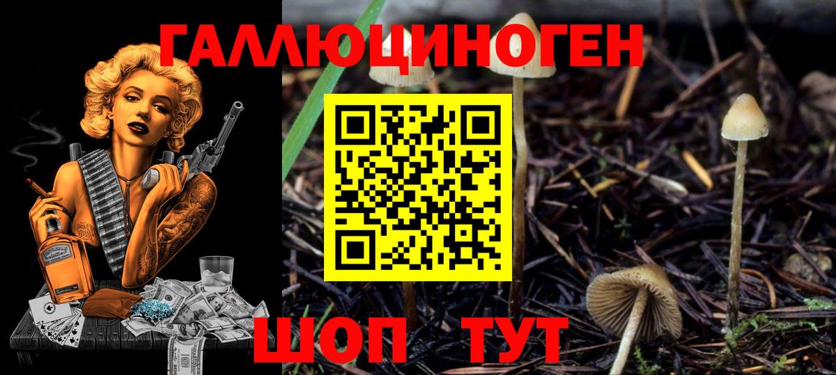 Галлюциногенные грибы мухоморы  Вход с VPN  Верхний Уфалей 